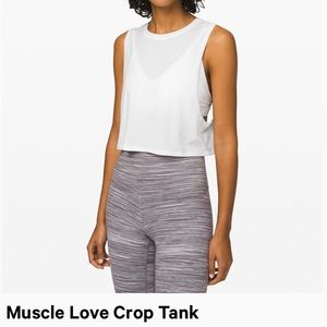 Muscle Love Crop Tank size 6